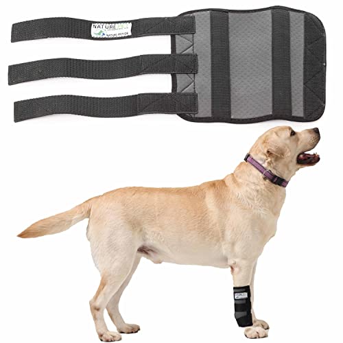 Nature Pet Hundesport Bandage für den Vorderlauf (L, Grau) von Nature Pet
