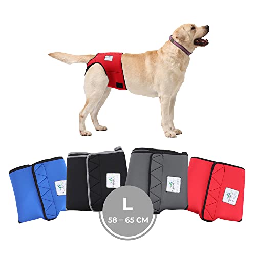 Nature Pet Läufigkeitshose für Hündinnen - Hundewindel für Rüden - Kein lästiges Einfädeln der Rute - Inkontinenz Hundehöschen (L-Rot) von Nature Pet