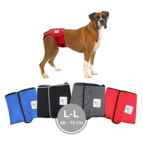 Nature Pet Läufigkeitshose für Hündinnen - Hundewindel für Rüden - Kein lästiges Einfädeln der Rute - Inkontinenz Hundehöschen (L-L-Rot) von Nature Pet