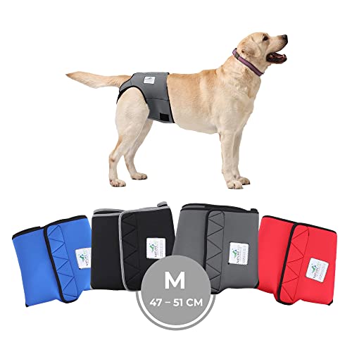 Nature Pet Läufigkeitshose für Hündinnen - Hundewindel für Rüden - Kein lästiges Einfädeln der Rute - Inkontinenz Hundehöschen (M-Grau) von Nature Pet
