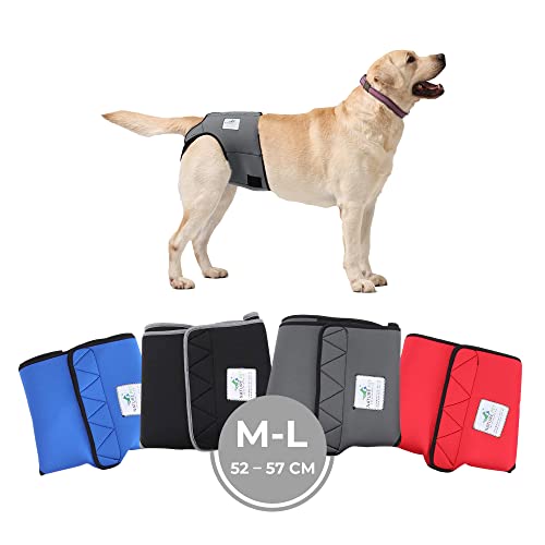 Nature Pet Läufigkeitshose für Hündinnen - Hundewindel für Rüden - Kein lästiges Einfädeln der Rute - Inkontinenz Hundehöschen (M-L-Grau) von Nature Pet