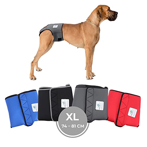 Nature Pet Läufigkeitshose für Hündinnen - Hundewindel für Rüden - Kein lästiges Einfädeln der Rute - Inkontinenz Hundehöschen (XL-Grau) von Nature Pet