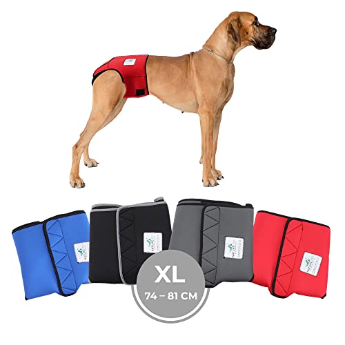 Nature Pet Läufigkeitshose für Hündinnen - Hundewindel für Rüden - Kein lästiges Einfädeln der Rute - Inkontinenz Hundehöschen (XL-Rot) von Nature Pet