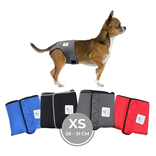 Nature Pet Läufigkeitshose für Hündinnen (XS-Grau) - Hundewindel für Rüden - Kein lästiges Einfädeln der Rute - Inkontinenz Hundehöschen (XS-Grau) von Nature Pet