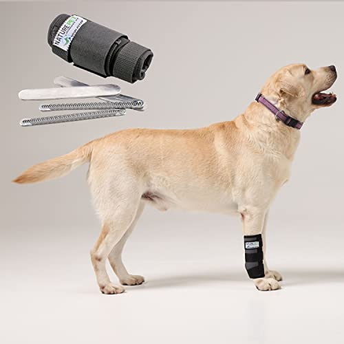 Nature Pet Premium Hunde Handgelenk Bandage/Karpalgelenk Schutz Bandage/Stützbandage für Hunde (L, Grau) von Nature Pet