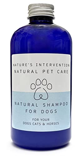 Shampoo für Hunde – Aloe Vera, Teebaum & Rosmarin - 250 ml von NIP. 99% Natürliches Sanftes. Keine Sulfate, Keine Parabene. Reinigt, Lindert Juckreiz. Konzentriert. von NATURE'S INTERVENTION