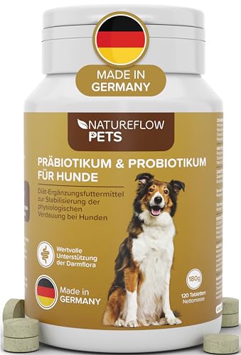 Probiotika Hund ideal mit Präbiotika - Qualität Made in Germany - Darmsanierung Hund durch Probiotika für Hunde - Beim Hund Darmflora aufbauen mit Natureflow Pets - 120 Tabletten von NATUREFLOW