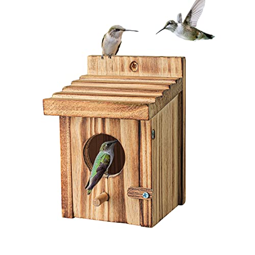 Brummende Vogelhäuser für den Außenbereich hängende kleine Vogel-Nistkasten - Holznest für Rotkehlchen, Kolibri, Sittich, Blauvogel - Sitzstange für draußen Vogelhausvögel - aus Kiefernholz Brummende Vogelhäuser für den Außenbereich hängende kleine Vogel-Nistkasten - Holznest für Rotkehlchen, Kolibri, Sittich, Blauvogel - Sitzstange für draußen Vogelhausvögel - aus Kiefernholz von NATUREYLWL