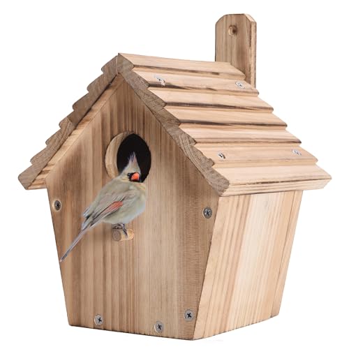 NATUREYLWL Vogelhaus - Holz Bluebird Haus für Draußen - Hängendes Vogelhaus mit Stange, Wetterfester Wildvogel Nistkasten für Finken, Kardinäle, Schraubenschlüssel, Rotkehlchen - Garten, Hof NATUREYLWL Vogelhaus - Holz Bluebird Haus für Draußen - Hängendes Vogelhaus mit Stange, Wetterfester Wildvogel Nistkasten für Finken, Kardinäle, Schraubenschlüssel, Rotkehlchen - Garten, Hof von NATUREYLWL