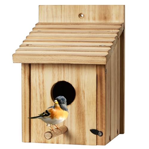 NATUREYLWL Vogelhaus - Holz Bluebird Haus für Draußen - Langlebiger Vogelnistkasten für den Außenbereich, leicht zu reinigender abnehmbarer Boden, Gartendekor für Wildvogelbeobachtung, Roosting House NATUREYLWL Vogelhaus - Holz Bluebird Haus für Draußen - Langlebiger Vogelnistkasten für den Außenbereich, leicht zu reinigender abnehmbarer Boden, Gartendekor für Wildvogelbeobachtung, Roosting House von NATUREYLWL