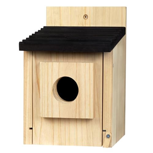 NATUREYLWL Vogelhaus für Draußen - Holz Bluebird Haus mit Raubfischschutz - Outdoor Vogel Nistkasten für Finken, Kardinäle - Hängendes Vogelhaus zum Beobachten von Wildvögeln von NATUREYLWL