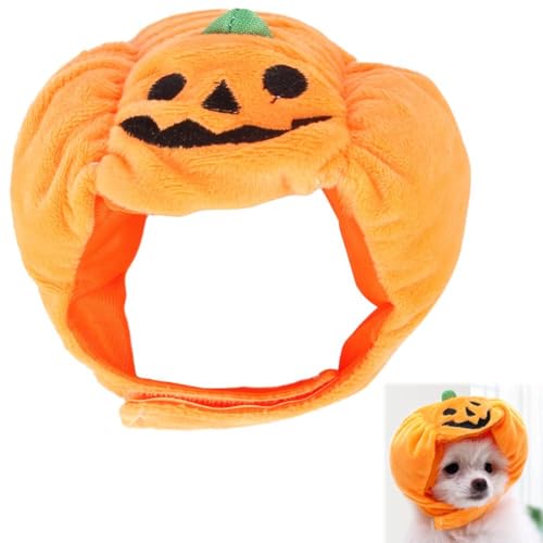 Halloween-Hut für Hunde, Kätzchen, Kürbis, Welpen, Party, Cosplay, Kleid, Katzenkürbis-Kostüm, lustige Haustier-Kopfbedeckung, Festival, Kopfzubehör für Katzen und kleine Hunde Halloween-Hut für Hunde, Kätzchen, Kürbis, Welpen, Party, Cosplay, Kleid, Katzenkürbis-Kostüm, lustige Haustier-Kopfbedeckung, Festival, Kopfzubehör für Katzen und kleine Hunde von NAUXIU