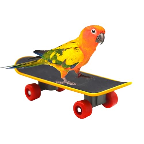 NAUZE Parrot Skateboard Interaktives Papagei Kreatives Spielzeug Intelligenz Spielzeug Mini Training Skateboard für kleine und mittelgroße Vögel Papageien von NAUZE