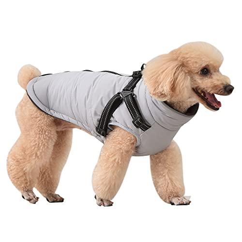 NAVESO Hundemantel Winter, Hundejacke Winter, Winter Hundemantel mit Hundegeschirr, Baumwolle Gefütterte Hundejacke, Warme Hundejacke Wasserdicht für Kleine Mittelgroße Hunde, Grau M NAVESO Hundemantel Winter, Hundejacke Winter, Winter Hundemantel mit Hundegeschirr, Baumwolle Gefütterte Hundejacke, Warme Hundejacke Wasserdicht für Kleine Mittelgroße Hunde, Grau M von NAVESO
