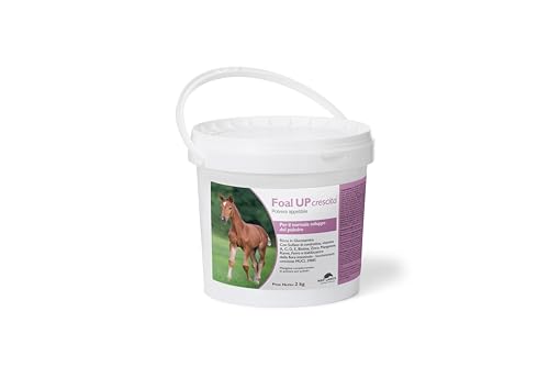 NBF Lanes | Foal Up Wachstum - Futter für die normale Entwicklung des Fohlen mit Glucosamin und essentiellen Vitaminen von NBF Lanes