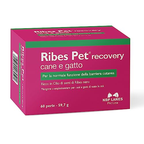 NBF Lanes | Johannisbeere Pet Recovery Hund und Katze, 60 Perlen, für normale Hautbarriere-Funktion von NBF Lanes