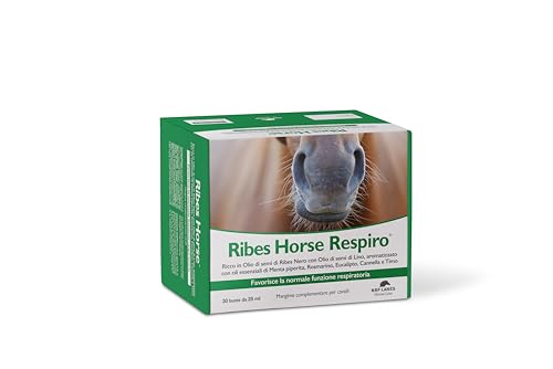 NBF Lanes Ribes Horse RESPIRO 30 Beutel à 25 ml von NBF Lanes