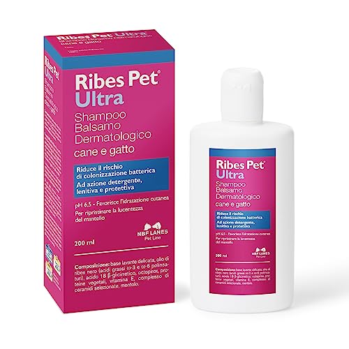 NBF Lanes | Ribes Pet Ultra Shampoo dermatologischer Balsam für Hund und Katze, 200 ml, reduziert das Risiko Einer bakteriellen Besiedlung, reinigend, beruhigend und schützend, pH 6,5 von NBF Lanes