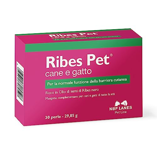 Ribes Pet Blister 30 Perle von NBF Lanes