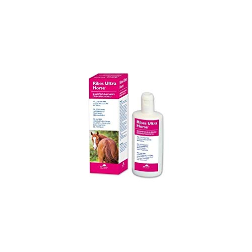 NBF Ribes Ultra Horse Dermatologisches Shampoo von NBF