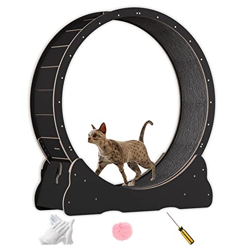 Katzenlaufrad aus Massivholz, Laufrad Katze 100cm Innendurchmesser, Cat Wheel für gesunde Bewegung und Entspannung.(Schwarz) von NBNQ