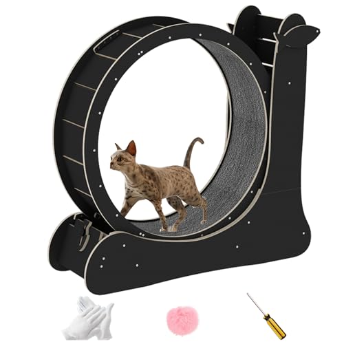 NBNQ Katzenlaufrad für Katzen im Innenbereich, verbessertes Laufrad Katze mit Katzenkratzer, Katzenlaufband, großes Laufrad für Katzen mit geräuschloser Laufbahn, Cat Wheel aus Massivholz.(Schwarz) von NBNQ