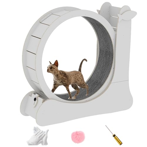 NBNQ Katzenlaufrad für Katzen im Innenbereich, verbessertes Laufrad Katze mit Katzenkratzer, Katzenlaufband, großes Laufrad für Katzen mit geräuschloser Laufbahn, Cat Wheel aus Massivholz. (Weiß) von NBNQ