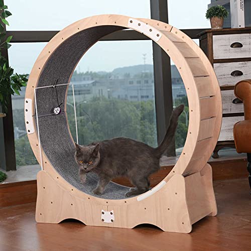 Atzenlaufrad Mute Hölzernes Katzenübungs-riesenrad, Katze Übung Rad Laufband, Winziger Spalt Und Leise Riemenscheiben Cats Verlust Gewicht Gerät, Für Katzen-haustiermöbel Katze Laufrad Atzenlaufrad Mute Hölzernes Katzenübungs-riesenrad, Katze Übung Rad Laufband, Winziger Spalt Und Leise Riemenscheiben Cats Verlust Gewicht Gerät, Für Katzen-haustiermöbel Katze Laufrad von NBVNBV
