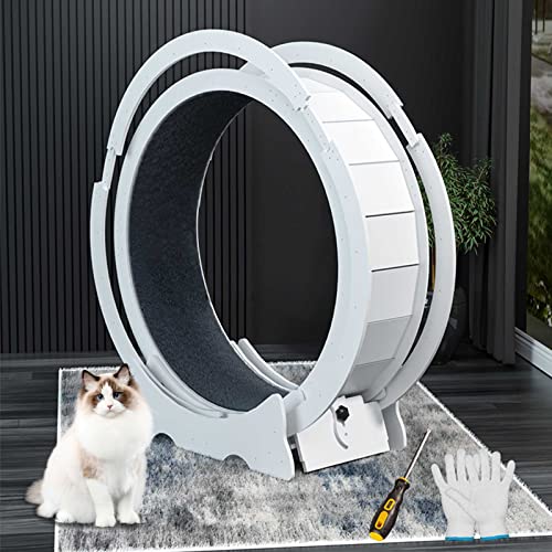 Katzen laufrad cat Wheel laufräder für Katzen Katzen laufrad drinnen Haustierfreundliches Katzenlaufband mit Austauschbarer Laufbahn, weiß, Vier Größen erhältlich Katzen laufrad cat Wheel laufräder für Katzen Katzen laufrad drinnen Haustierfreundliches Katzenlaufband mit Austauschbarer Laufbahn, weiß, Vier Größen erhältlich von NBVNBV