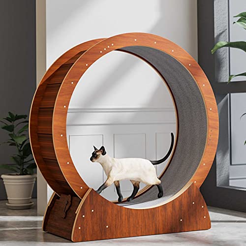 Katzenlaufrad Hölzernes Pet Cat Spezielles Sport Katzenlaufrad , Katzenübungs-riesenrad Katzenlaufrad, Mit Schloss, Winziger Spalt Und Leise Riemenscheiben Katze Übung Rad Laufband Katzenlaufrad Hölzernes Pet Cat Spezielles Sport Katzenlaufrad , Katzenübungs-riesenrad Katzenlaufrad, Mit Schloss, Winziger Spalt Und Leise Riemenscheiben Katze Übung Rad Laufband von NBVNBV