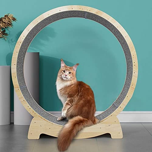 Katzenlaufrad Katzenlaufrad Laufband , Hölzernes Katzenübungs-riesenrad, Montage Erforderlich Mute Cat Laufmaschinenrad, Katzenlaufrad Mit Schloss Haustierfreundliches Katzenlaufband von NBVNBV