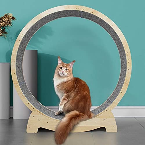 Katzenlaufrad Katzenlaufrad Laufband , Hölzernes Katzenübungs-riesenrad, Montage Erforderlich Mute Cat Laufmaschinenrad, Katzenlaufrad Mit Schloss Haustierfreundliches Katzenlaufband Katzenlaufrad Katzenlaufrad Laufband , Hölzernes Katzenübungs-riesenrad, Montage Erforderlich Mute Cat Laufmaschinenrad, Katzenlaufrad Mit Schloss Haustierfreundliches Katzenlaufband von NBVNBV