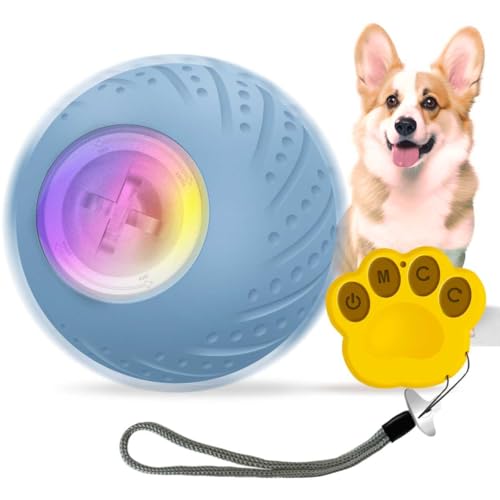 NBVNBV Hundespielzeug, Interaktives Hunde Ball Spielzeug, Robuster selbstrollender Ball für Welpen/Kleine/Mittlere Hunde, USB-wiederaufladbar (Blau) von NBVNBV