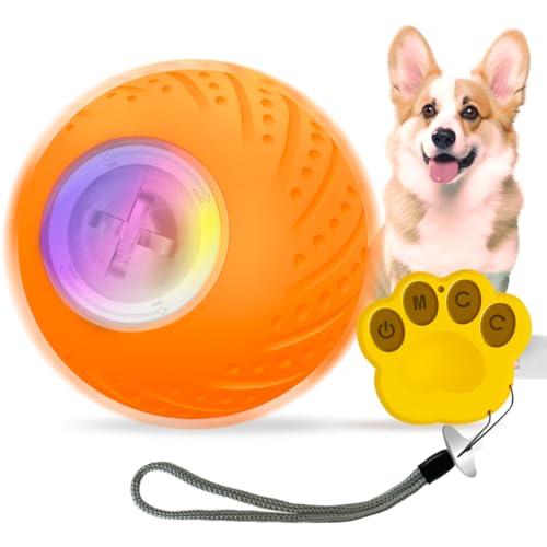 NBVNBV Hundespielzeug, Interaktives Hunde Ball Spielzeug, Robuster selbstrollender Ball für Welpen/Kleine/Mittlere Hunde, USB-wiederaufladbar (orange Farbe,) von NBVNBV