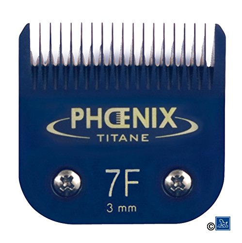 NC Titanium Keramikschneidekopf Phoenix von NC