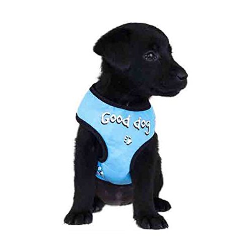 NC Tshirt Good Dog Geschirr blau TXS von NC