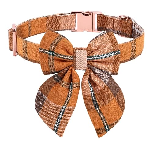 Halloween Hundehalsband mit Schleife M Halloween Hundehalsband mit Schleife M von NCMAMA
