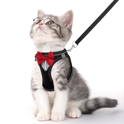 Katzengeschirr und Leine, Set zum Spazierengehen, ausbruchsicher, verstellbares Kätzchengeschirr, atmungsaktives Mesh mit reflektierenden Streifen, Kätzchengeschirr für Kätzchen, Welpen, Hasen von NCMAMA