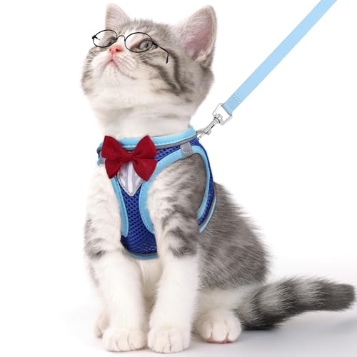 NCMAMA Katzengeschirr und Leine, verstellbares Kätzchen-Westengeschirr zum Spazierengehen, weiches, atmungsaktives Mesh mit reflektierenden Streifen, Geschirr für Katzen, Blau, Größe XS NCMAMA Katzengeschirr und Leine, verstellbares Kätzchen-Westengeschirr zum Spazierengehen, weiches, atmungsaktives Mesh mit reflektierenden Streifen, Geschirr für Katzen, Blau, Größe XS von NCMAMA