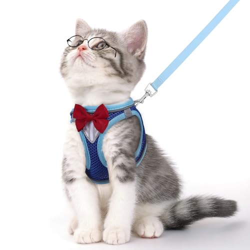 NCMAMA Katzengeschirr und Leine zum Spazierengehen, auslaufsicher, verstellbar, atmungsaktives Netz mit reflektierenden Streifen, Geschirr für Kätzchen, Welpen, Kaninchen (Blau, L) von NCMAMA