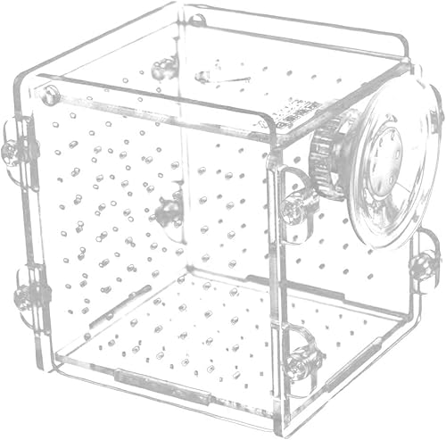 Fischzuchtbox, Acryl-Isolationsbox, transparent, Aquarium, Fischtank, Zuchtbox, Aquarium, Fischbrutkasten mit Saugnapf von NCONCO