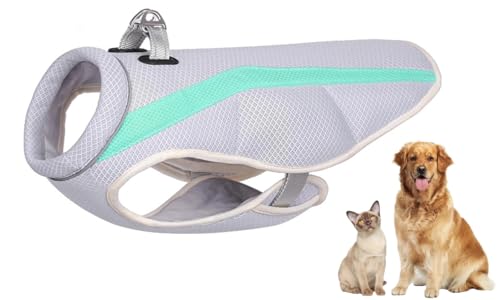 Kühlweste für Hunde, kühlende Mäntel für den Sommer, Sonnenschutz, atmungsaktive Netz-Hundejacke mit reflektierendem Riemen, leichte Hundekleidung für große, mittelgroße und kleine Hunde, Spaziergänge Kühlweste für Hunde, kühlende Mäntel für den Sommer, Sonnenschutz, atmungsaktive Netz-Hundejacke mit reflektierendem Riemen, leichte Hundekleidung für große, mittelgroße und kleine Hunde, Spaziergänge von NCONCO