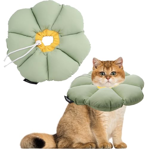 NCTNCX Halskrause Katze Weicher Katzenkragen Genesungshalsband für Katzen Einstellbarer Halskrause Katze Schutzkragen gegen Lecken für Katzen & Kleiner Hunde Nach Operation (Grün, M) von NCTNCX