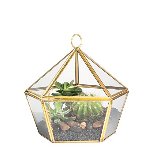 Modernes kunstvolles, geometrisches Terrarium, fünfeckig, Schmuckkästchen-Optik, Messing, Kupfer, Klarglas, Pflanzgefäß für Moos, Farn, Luftpflanze, Sukkulente, Dekorbehälter mit Klappdeckel, Gold Modernes kunstvolles, geometrisches Terrarium, fünfeckig, Schmuckkästchen-Optik, Messing, Kupfer, Klarglas, Pflanzgefäß für Moos, Farn, Luftpflanze, Sukkulente, Dekorbehälter mit Klappdeckel, Gold von NCYP