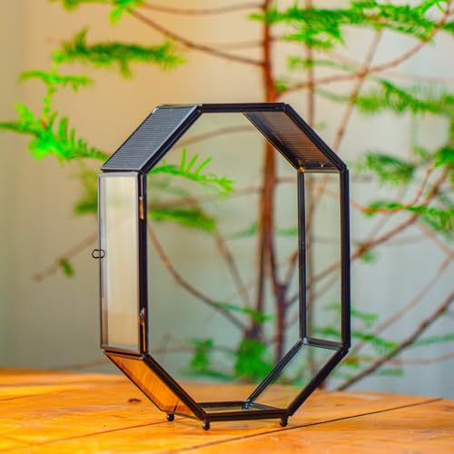NCYP 15,8x8x22,1 cm Glasgehege Terrarium mit Netz und Tür für springende Spinnen, Schnecken, Insekten, Schwarze kleine achteckige Form Sukkulenten Terrarium (Ohne Pflanzen) von NCYP