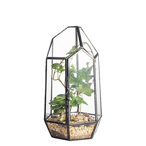 NCYP 22cm Geometrisches Pflanzen-Terrarium mit Tür, Handgefertigter Unregelmäßiger Glas-Pflanztopf für Sukkulenten, Moderne Dekoration, Kleiner Blumentopf (Ohne Pflanzen) von NCYP