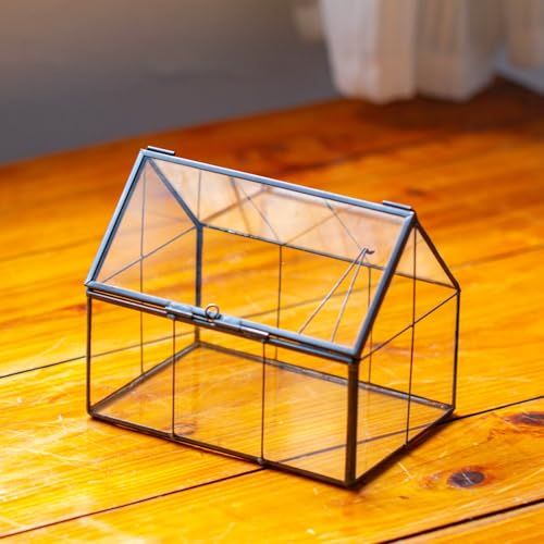 NCYP Geometrisches Mini Glas Terrarium mit Deckel, 15,5 x 10,8 x 12,5 cm, Hausform geschlossener Übertopf für kleine Sukkulenten Pflanzen, Handgefertigt Heimgarten Büro Tischdekoration (Nur Terrarium) NCYP Geometrisches Mini Glas Terrarium mit Deckel, 15,5 x 10,8 x 12,5 cm, Hausform geschlossener Übertopf für kleine Sukkulenten Pflanzen, Handgefertigt Heimgarten Büro Tischdekoration (Nur Terrarium) von NCYP