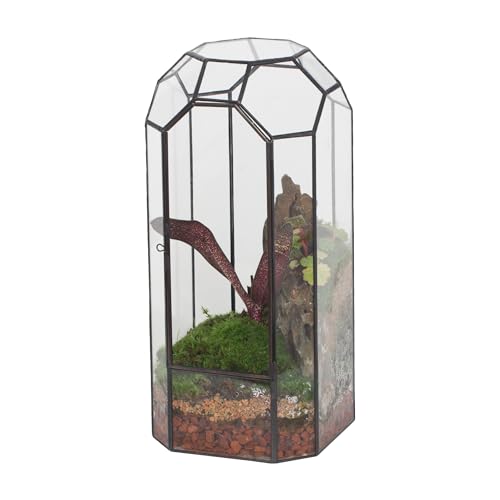 NCYP Geometrisches Pflanzen-Terrarium aus Glas mit Tür für Sukkulenten, Kakteen – 14 x 14 x 32,5 cm – Vintage-Pflanzgefäß, hoher, achteckiger Übertopf, Zuhause, Garten, Büro, Tischdekoration (nur NCYP Geometrisches Pflanzen-Terrarium aus Glas mit Tür für Sukkulenten, Kakteen – 14 x 14 x 32,5 cm – Vintage-Pflanzgefäß, hoher, achteckiger Übertopf, Zuhause, Garten, Büro, Tischdekoration (nur von NCYP