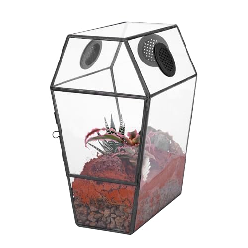 NCYP Glasgehäuse in Sargform mit Netz-Entlüftungslöchern für Springspinnen, Insekten, Schnecken – Tür vorne öffnend, geometrisches Terrarium, Tischdekoration, für den Innenbereich, Schwarz (nur NCYP Glasgehäuse in Sargform mit Netz-Entlüftungslöchern für Springspinnen, Insekten, Schnecken – Tür vorne öffnend, geometrisches Terrarium, Tischdekoration, für den Innenbereich, Schwarz (nur von NCYP