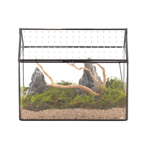 NCYP 26x15x21 cm, Hausform Glas-Terrarium mit Acryldeckel, Handgefertigtes Große Geometrische Terrarium Box für Schnecken, Sukkulenten, Pflanzen, DIY Geschenk (nur Terrarium) von NCYP